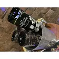 りり|鹿児島市 千日町のガールズバー|Honey trap(ハニートラップ)