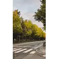 みお|小田原市 栄町のガールズバー|& Co.(アンドコー)