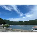 のどち スタッフ|大阪市 中央区東心斎橋のガールズバー|CHANCE(チャンス)