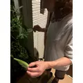 えりな|都城市 牟田町のキャバクラ|Jardin(ハルディン)