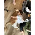 桐島 りゅう|札幌市 すすきののニュークラブ|凛()