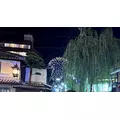 あすか|長崎市 本石灰町のコンカフェ|Candy Made(キャンディーメイド)