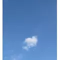 しずか|船橋市 本町のキャバクラ|Donfin(ドンフィン)