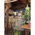 芹沢 莉瀬|札幌市 中央区南のニュークラブ|Leicester(レスター)