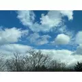 成海 まお|札幌市 すすきののニュークラブ|凛()