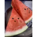 ルナ|海部郡 蟹江町錦のキャバクラ|carthago(カルタゴ)