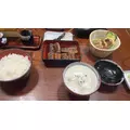 しほ|都城市 牟田町のキャバクラ|Jardin(ハルディン)