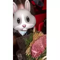 ココ|大阪市 中央区難波のガールズバー|焼肉とバニーガール(ヤキニクトバニーガール)