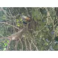 あゆ|長崎市 本石灰町のキャバクラ|AERA(アエラ)