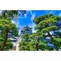 神崎　唯|富山市 桜木町のキャバクラ|美ら 富山(チュラ トヤマ)