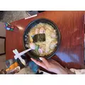 メイ|立川市 錦町の朝・昼キャバ|Mandarin Club（朝・昼）(マンダリンクラブ（朝・昼）)
