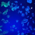 れな [21才]|静岡市 葵区常磐町のガールズバー|SHARE(シェア)