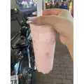 みづき|船橋市 本町のキャバクラ|Donfin(ドンフィン)