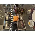 せり|渋谷区 宇田川町のキャバクラ|BABEL(バベル)