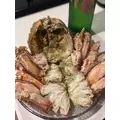 柊 まりん|札幌市 すすきののニュークラブ|Fillia(フィリア)
