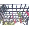 はづき|柏市 旭町のガールズバー|Meteor(ミーティア)
