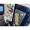 にも|新宿区 歌舞伎町のラウンジ|:(コロン)