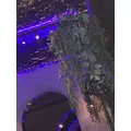 ユウナ|さいたま市 大宮区仲町のキャバクラ|ai(アイ)