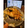 華宮 りんか|札幌市 中央区南のニュークラブ|Leicester(レスター)