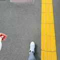 広瀬 あいり|札幌市 中央区南のニュークラブ|Leicester(レスター)