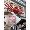 ミヅキ|さいたま市 大宮区仲町のキャバクラ|ai(アイ)