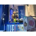 せりな|立川市 錦町の朝キャバ|HYATT《朝》(ハイアット《朝》)