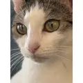ゆう|長崎市 銅座町のキャバクラ|QUEEN(クイーン)
