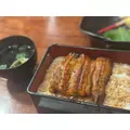りか|越谷市 南越谷のキャバクラ|Ammon(アモン)