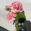りょう|都城市 牟田町のキャバクラ|Jardin(ハルディン)