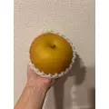 美月|都城市 牟田町のキャバクラ|Jardin(ハルディン)