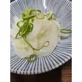 紫音|越谷市 南越谷のキャバクラ|Ammon(アモン)