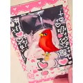 あか|長崎市 本石灰町のガールズバー|Party Bunny(パーティーバニー)