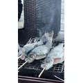 あおい|船橋市 本町のキャバクラ|Donfin(ドンフィン)