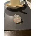 長瀬 純恋|旭川市 3条通りのニュークラブ|THE PENTHOUSE(ザ ペントハウス)