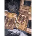 あいな|海部郡 蟹江町錦のキャバクラ|carthago(カルタゴ)