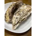 花音|彦根市 平田町のラウンジ|L'Atelier(アトリエ)