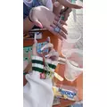 らむ|横浜市 中区常盤町のガールズバー|TINDER LAND(ティンダーランド)