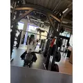 野本 明日香|札幌市 中央区南のニュークラブ|Leicester(レスター)