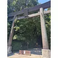 椿|都城市 牟田町のキャバクラ|Jardin(ハルディン)