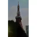ひじり|港区 新橋のガールズバー|烏森バー 本店()