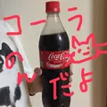 もか|豊島区 東池袋のコンカフェ|Gilgamesh(ギルガメッシュ)