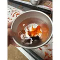 美波 あいか|札幌市 すすきののニュークラブ|Fillia(フィリア)