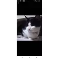 はづき|長崎市 銅座町のキャバクラ|QUEEN(クイーン)