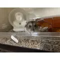 羽蘭|長崎市 本石灰町のキャバクラ|AERA(アエラ)