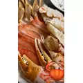 なつき|船橋市 本町のキャバクラ|Donfin(ドンフィン)