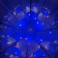 セリカ|さいたま市 大宮区仲町のキャバクラ|ai(アイ)