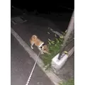 あかね|小田原市 栄町のガールズバー|& Co.(アンドコー)