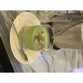 ゆゆ|文京区 湯島のキャバクラ|bisser 上野(ビゼ 上野)