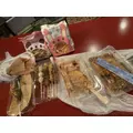 かえで|長崎市 銅座町のガールズバー|G291(ジーニクイチ)