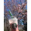 大園 桃子|札幌市 すすきののニュークラブ|P&J(ピーアンドジェイ)